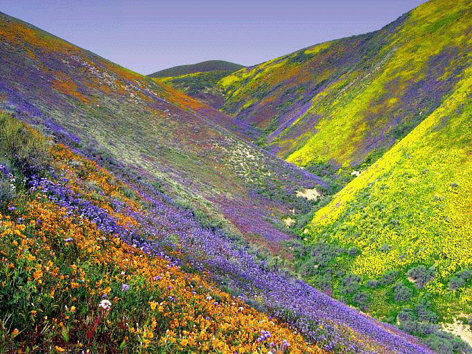 colorfulvalley.gif